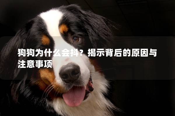 狗狗为什么会抖？揭示背后的原因与注意事项