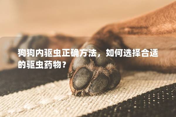 狗狗内驱虫正确方法，如何选择合适的驱虫药物？