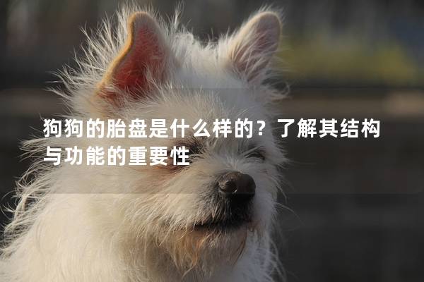 狗狗的胎盘是什么样的？了解其结构与功能的重要性