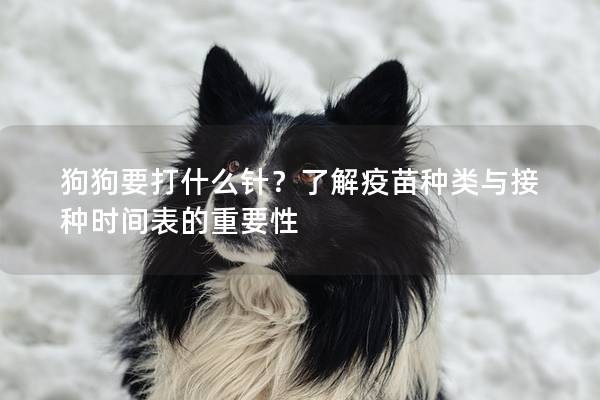 狗狗要打什么针？了解疫苗种类与接种时间表的重要性