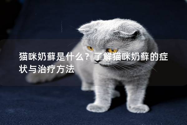 猫咪奶藓是什么？了解猫咪奶藓的症状与治疗方法