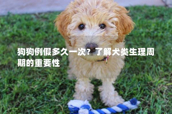 狗狗例假多久一次？了解犬类生理周期的重要性