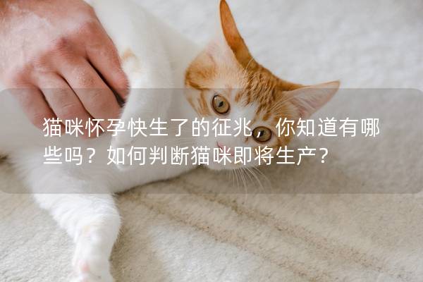 猫咪怀孕快生了的征兆，你知道有哪些吗？如何判断猫咪即将生产？