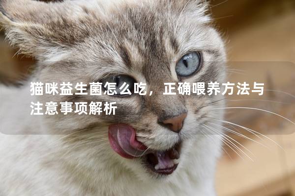 猫咪益生菌怎么吃，正确喂养方法与注意事项解析