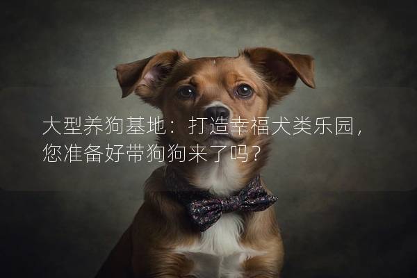 大型养狗基地：打造幸福犬类乐园，您准备好带狗狗来了吗？