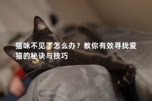 猫咪不见了怎么办？教你有效寻找爱猫的秘诀与技巧