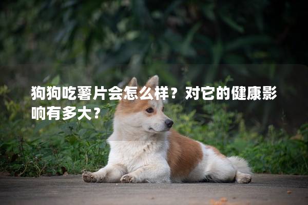 狗狗吃薯片会怎么样？对它的健康影响有多大？