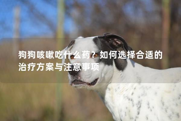 狗狗咳嗽吃什么药？如何选择合适的治疗方案与注意事项