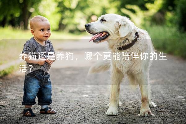 养猫还是养狗，哪个更能陪伴你的生活？