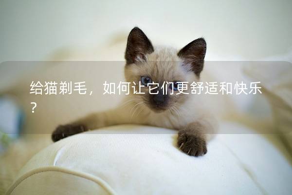 给猫剃毛，如何让它们更舒适和快乐？