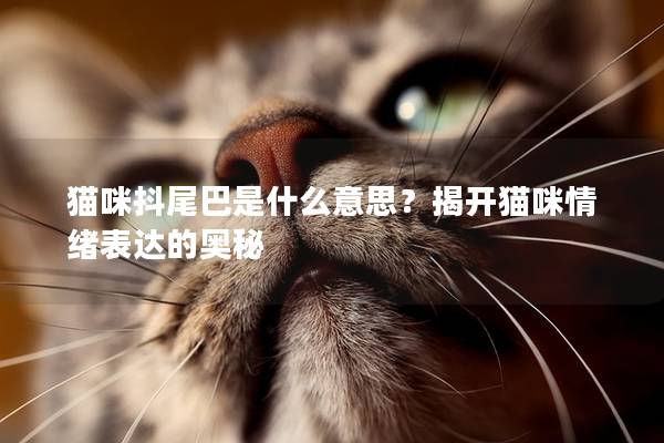 猫咪抖尾巴是什么意思？揭开猫咪情绪表达的奥秘