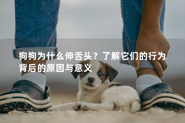 狗狗为什么伸舌头？了解它们的行为背后的原因与意义