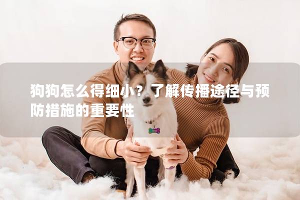 狗狗怎么得细小？了解传播途径与预防措施的重要性