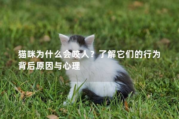 猫咪为什么会咬人？了解它们的行为背后原因与心理