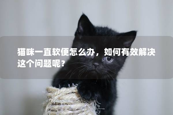 猫咪一直软便怎么办，如何有效解决这个问题呢？