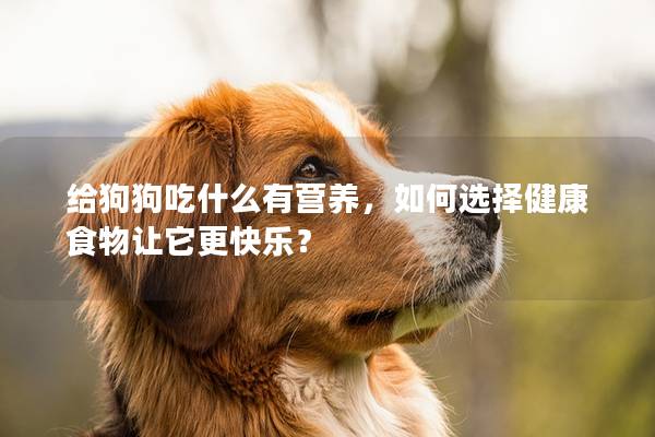 给狗狗吃什么有营养，如何选择健康食物让它更快乐？