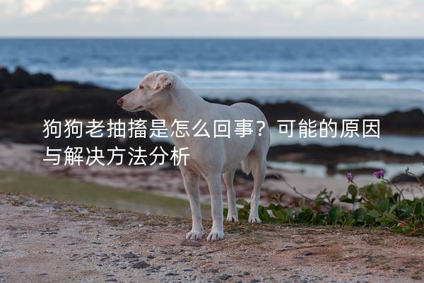 狗狗老抽搐是怎么回事？可能的原因与解决方法分析