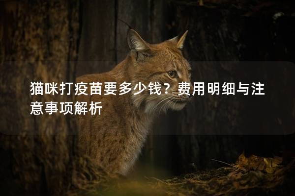 猫咪打疫苗要多少钱？费用明细与注意事项解析