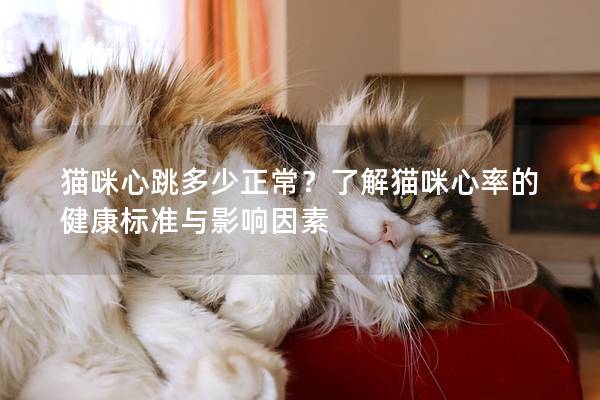 猫咪心跳多少正常？了解猫咪心率的健康标准与影响因素