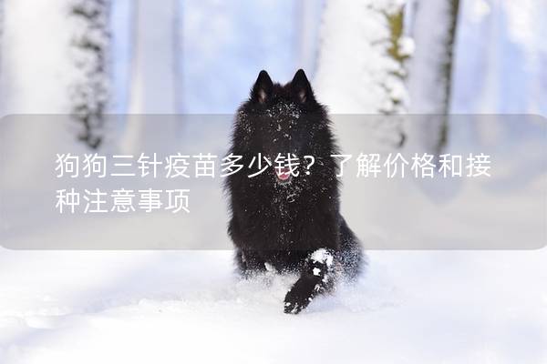 狗狗三针疫苗多少钱？了解价格和接种注意事项