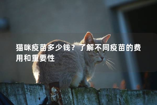 猫咪疫苗多少钱？了解不同疫苗的费用和重要性