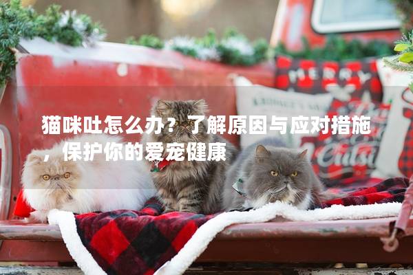 猫咪吐怎么办？了解原因与应对措施，保护你的爱宠健康