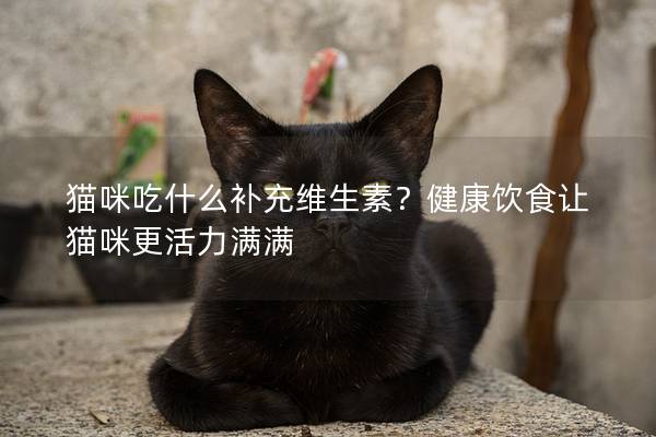 猫咪吃什么补充维生素？健康饮食让猫咪更活力满满