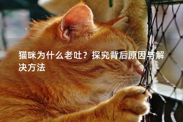 猫咪为什么老吐？探究背后原因与解决方法