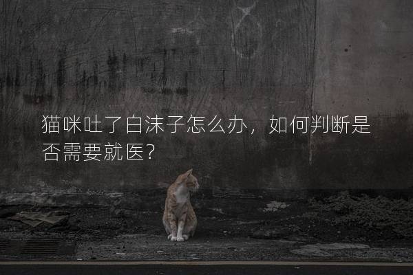 猫咪吐了白沫子怎么办，如何判断是否需要就医？