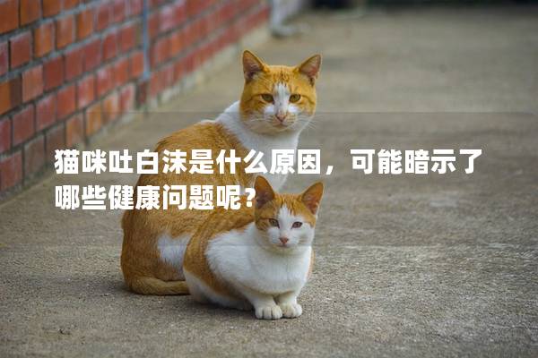 猫咪吐白沫是什么原因，可能暗示了哪些健康问题呢？