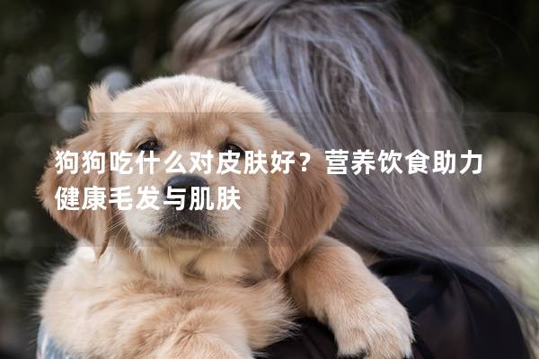 狗狗吃什么对皮肤好？营养饮食助力健康毛发与肌肤