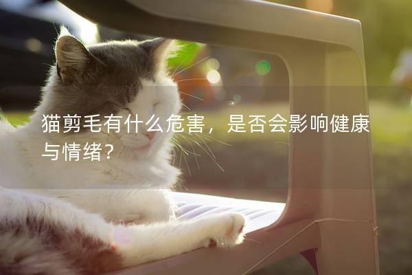 猫剪毛有什么危害，是否会影响健康与情绪？