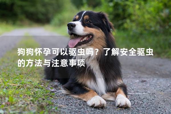 狗狗怀孕可以驱虫吗？了解安全驱虫的方法与注意事项