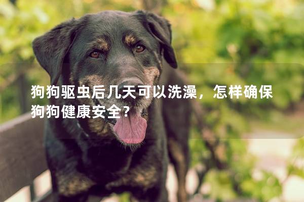 狗狗驱虫后几天可以洗澡，怎样确保狗狗健康安全？