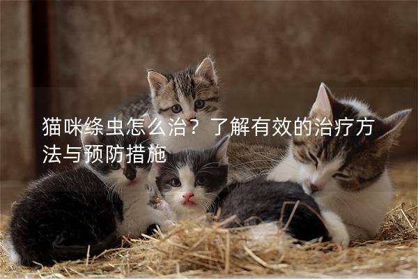 猫咪绦虫怎么治？了解有效的治疗方法与预防措施