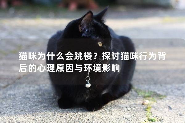 猫咪为什么会跳楼？探讨猫咪行为背后的心理原因与环境影响