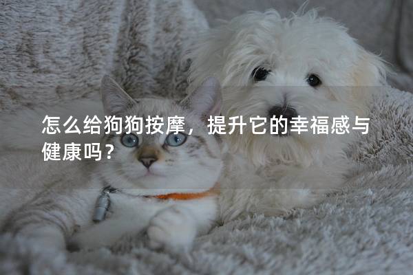 怎么给狗狗按摩，提升它的幸福感与健康吗？