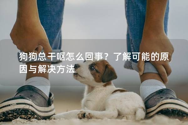 狗狗总干呕怎么回事？了解可能的原因与解决方法