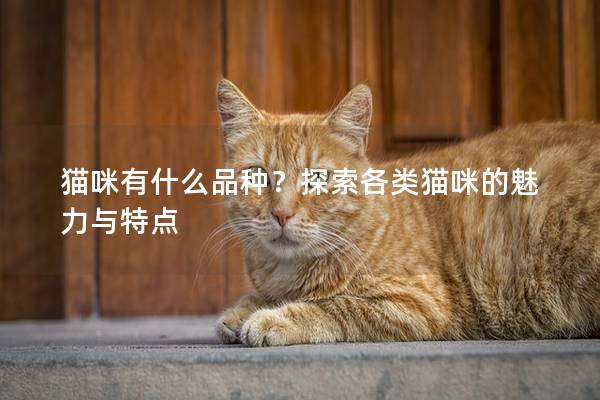 猫咪有什么品种？探索各类猫咪的魅力与特点