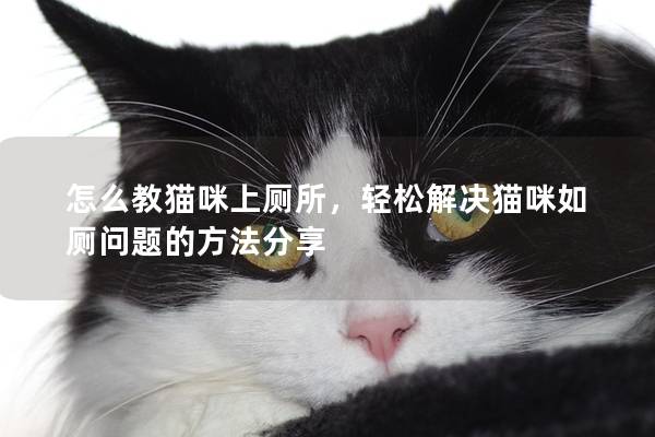 怎么教猫咪上厕所，轻松解决猫咪如厕问题的方法分享