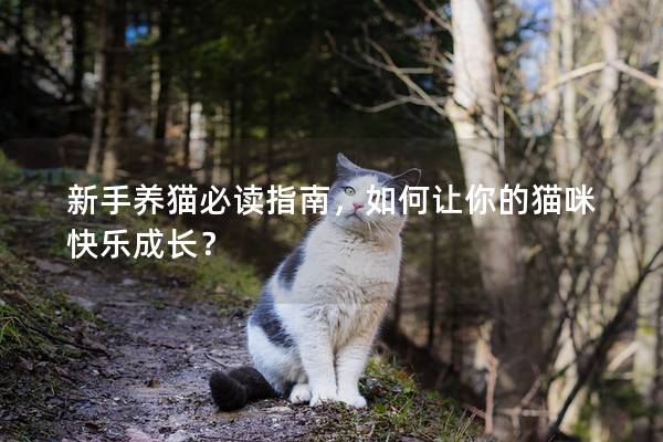 新手养猫必读指南，如何让你的猫咪快乐成长？