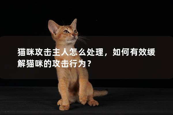 猫咪攻击主人怎么处理，如何有效缓解猫咪的攻击行为？