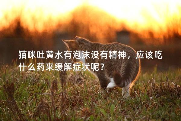 猫咪吐黄水有泡沫没有精神，应该吃什么药来缓解症状呢？