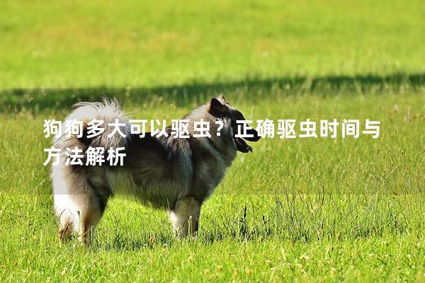 狗狗多大可以驱虫？正确驱虫时间与方法解析