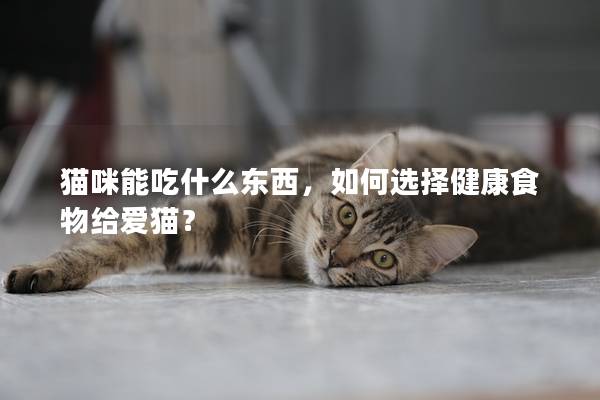 猫咪能吃什么东西，如何选择健康食物给爱猫？