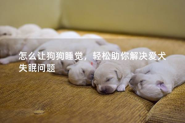 怎么让狗狗睡觉，轻松助你解决爱犬失眠问题