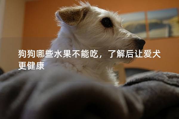 狗狗哪些水果不能吃，了解后让爱犬更健康