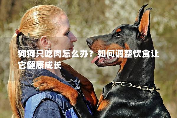 狗狗只吃肉怎么办？如何调整饮食让它健康成长