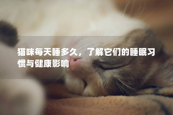 猫咪每天睡多久，了解它们的睡眠习惯与健康影响