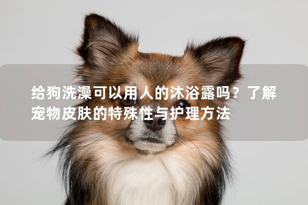 给狗洗澡可以用人的沐浴露吗？了解宠物皮肤的特殊性与护理方法